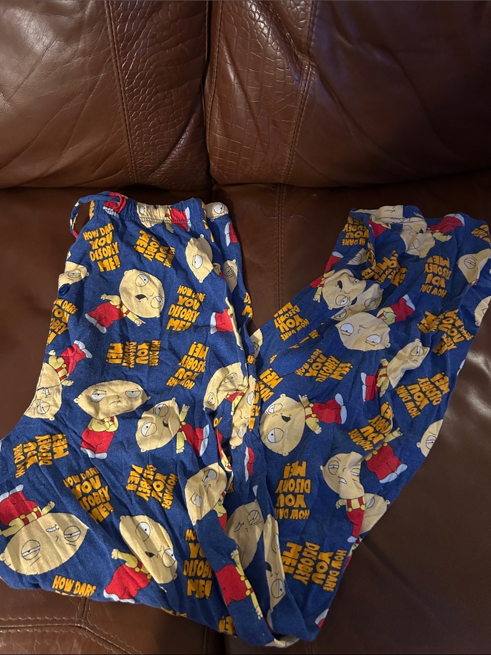 Blue Stewie Griffin Print Kids Pajama Pants